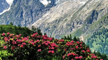 Gardens of the Aosta Valley