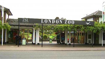 Kip with Creepy Crawlies at ZSL London Zoo