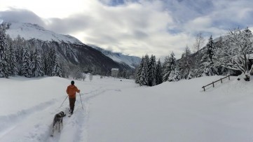 Snowshoe Trails in Courmayeur