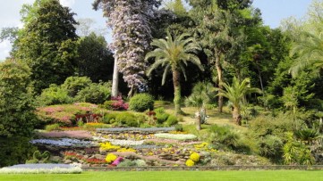 The Botanical Garden of Saussurea