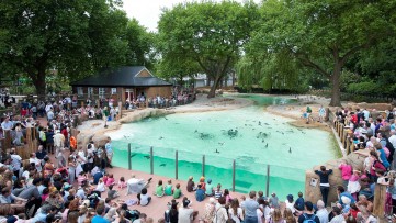 Unique Learning Experiences at London Zoo