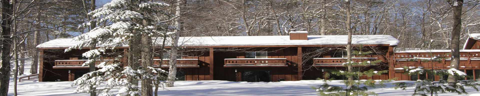 Lake Forest Resort and Club — Eagle River, Wisconsin — travel gallery — Traveller Direct