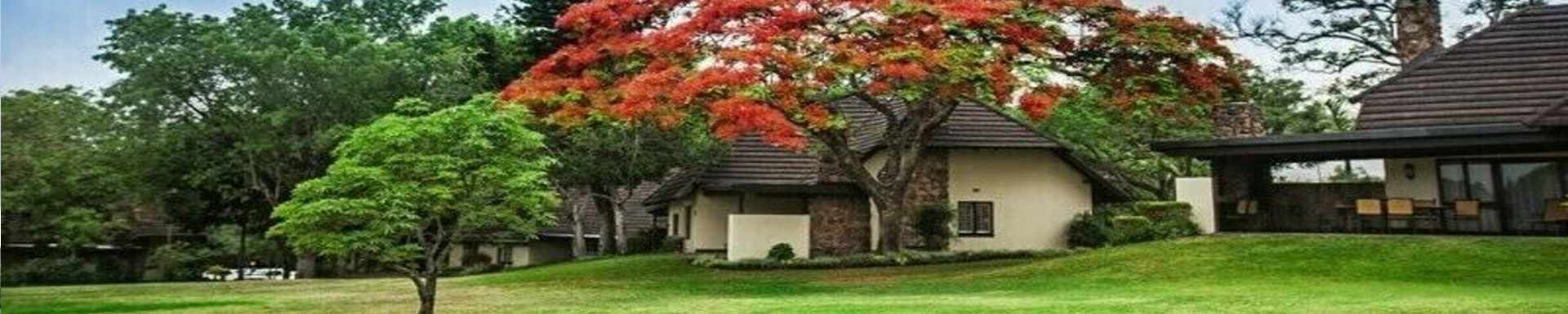 SunSwop at Sabi River Sun — Hazyview, Mpumalanga, South Africa — travel gallery — Traveller Direct