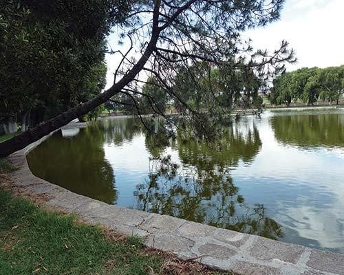 Hacienda La Purísima — photo 3