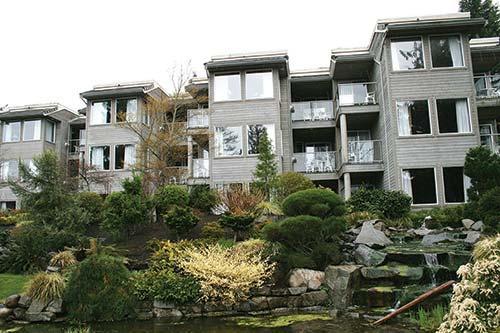 Vacation Internationale - Pacific Shores Resort — photo 8