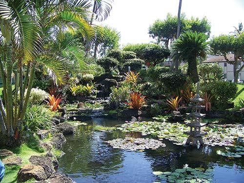 The Pono Kai, Pacific Fantasy Timesharing, and Vacation Internationale - Pono Kai — photo 3
