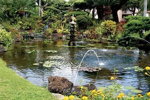 The Pono Kai, Pacific Fantasy Timesharing, and Vacation Internationale - Pono Kai — photo 8