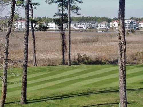Tidewater Golf Club & Plantation — photo 5